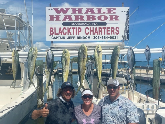 Whale Harbor Islamorada Fishing Charters