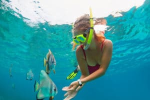 Key West, Village of Islands Florida Snorkeling Rentals