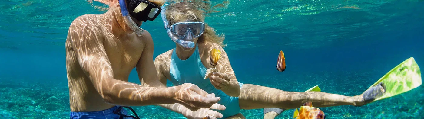 Snorkeling Tour Florida Keys